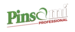 cat_pinsami_1.png